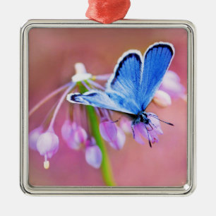 Azure Butterfly Metal Ornament