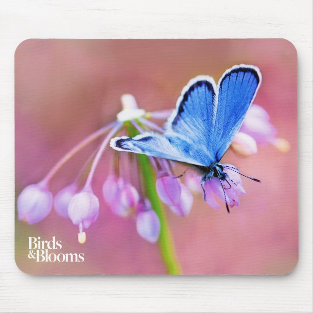 Azure Butterfly Mouse Pad (Front)