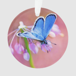 Azure Butterfly Ornament