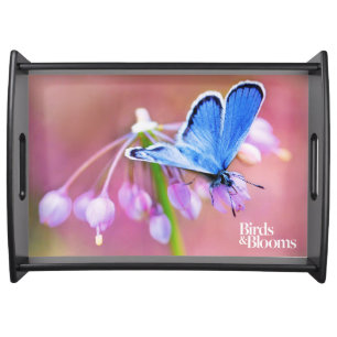 Azure Butterfly Serving Tray