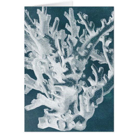 Azure Coral I Cards (Front)