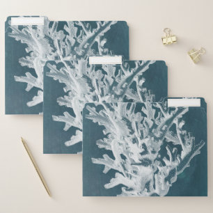 Azure Coral I File Folder