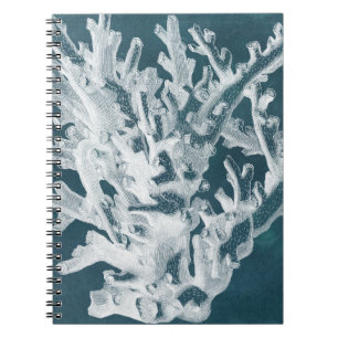 Azure Coral I Notebook