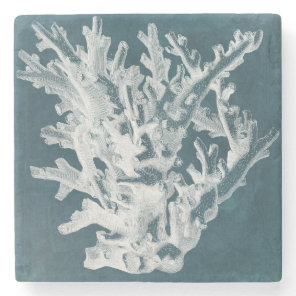 Azure Coral I Stone Coaster