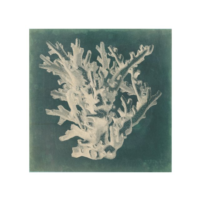 Azure Coral I Wood Wall Decor (Front)