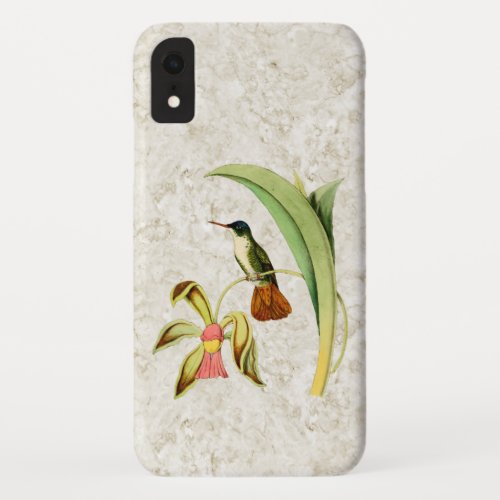 Azure Crowned Hummingbird iPhone XR Case