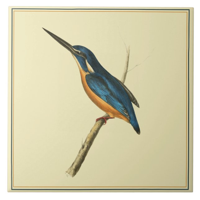 Azure Kingfisher Ceramic Tile (Front)