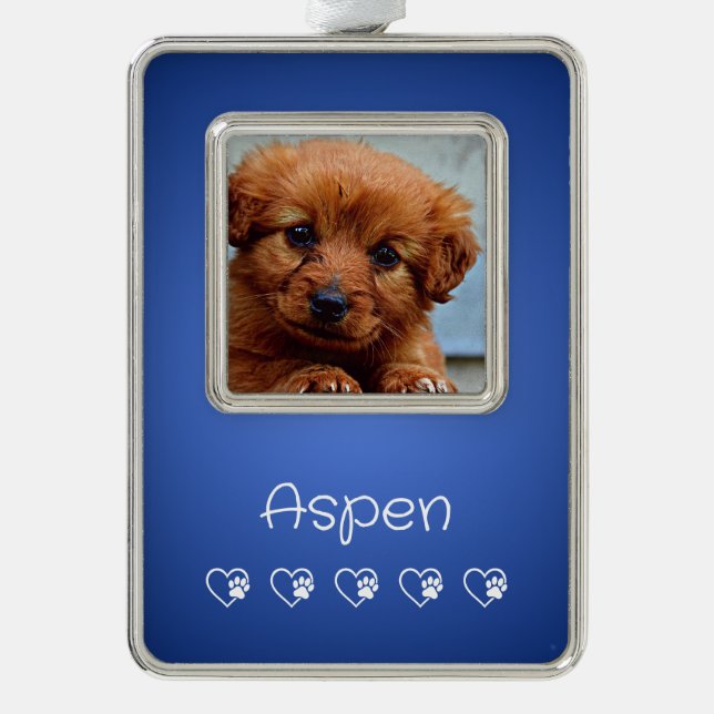 Azure Pet Photo Ornament - Christmas Gift (Front)