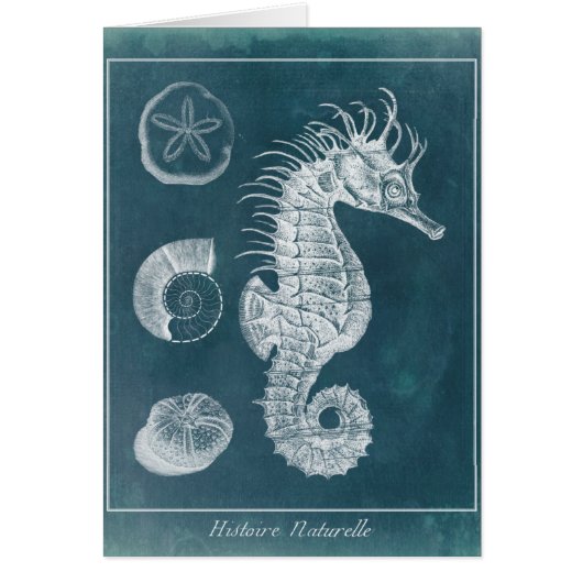 Azure Seahorse Study I Cards (Front)