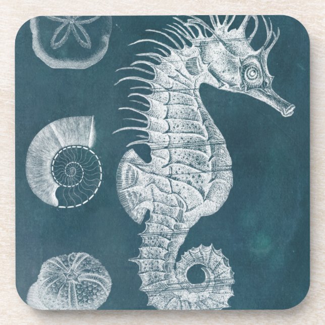 Azure Seahorse Study I Drink Coaster (Front)