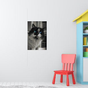 Azure Soul - Fine Art Archival Matte Cat Print