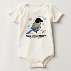 Azure-winged Magpie Statistics Infant Organic Creeper