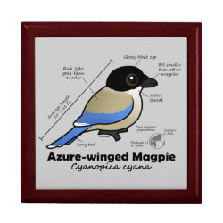 Azure-winged Magpie Statistics Large 7.125