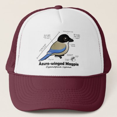 Azure-winged Magpie Statistics Trucker Hat