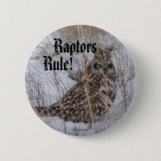 B11 Short-eared Owl Button (Front)