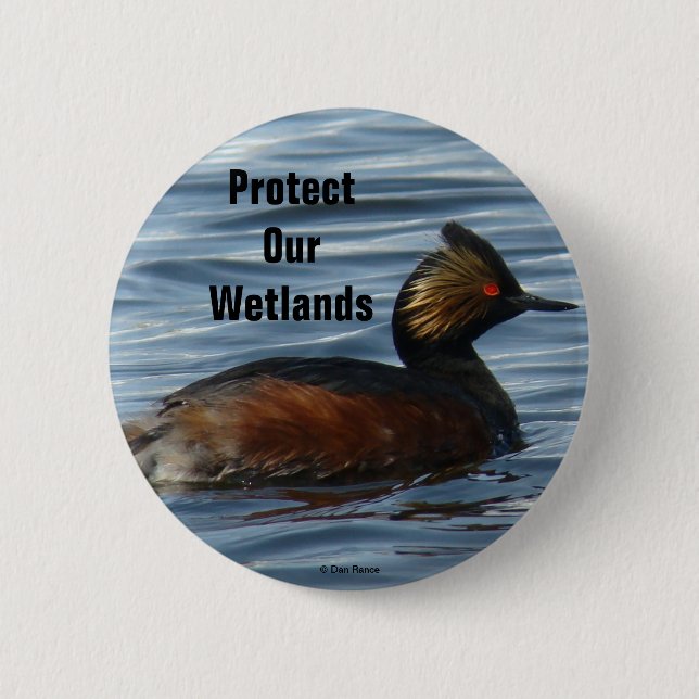 B13 Eared Grebe Button (Front)