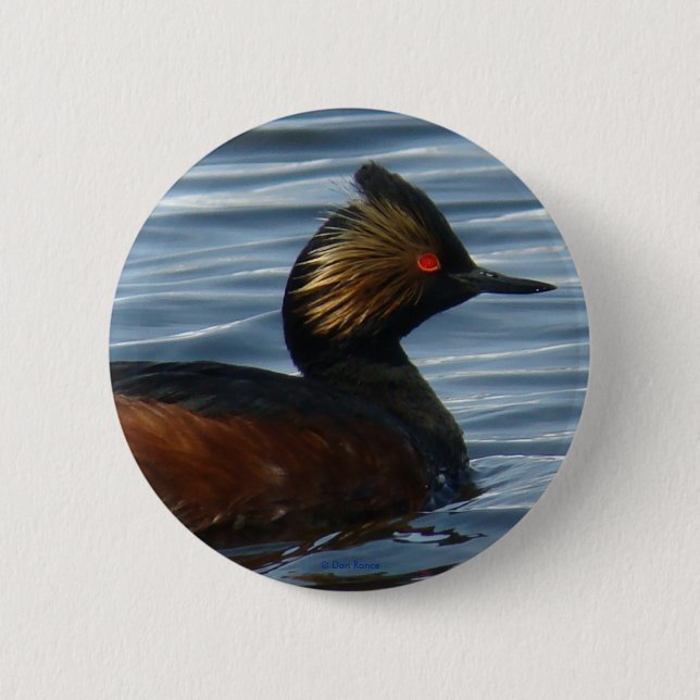 B13 Eared Grebe Pinback Button (Front)