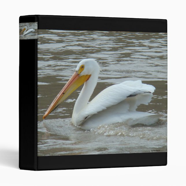 B14 White Pelican 3 Ring Binder (Front/Spine)
