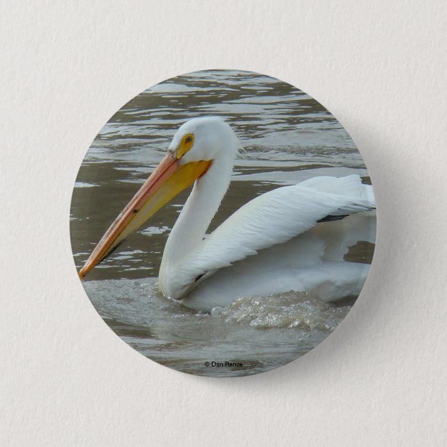 B14 White Pelican Pinback Button (Front)