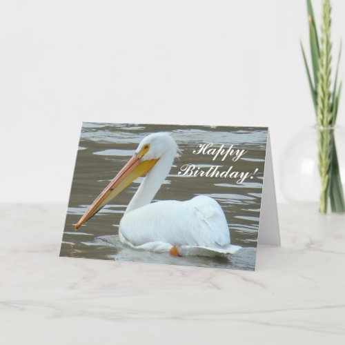 B15 White Pelican on Muddy Water Card