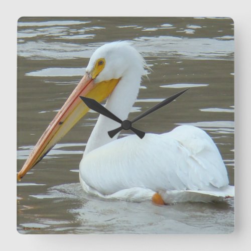 B15 White Pelican on Muddy Water Square Wall Clock