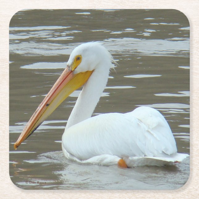B15 White Pelican Square Paper Coaster (Front)