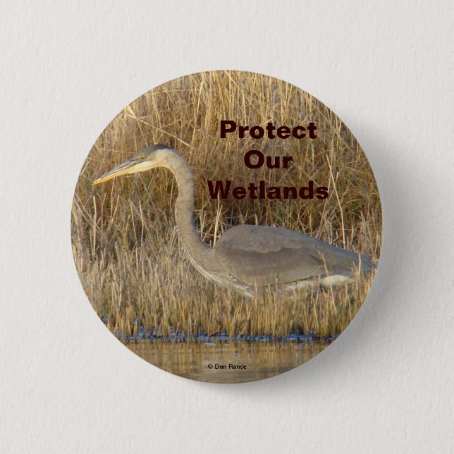 B19 Great Blue Heron Juvenile Button (Front)
