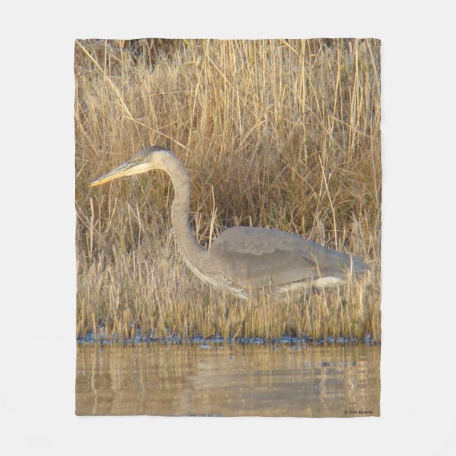 B19 Juvenile Great Blue Heron Fleece Blanket (Front)