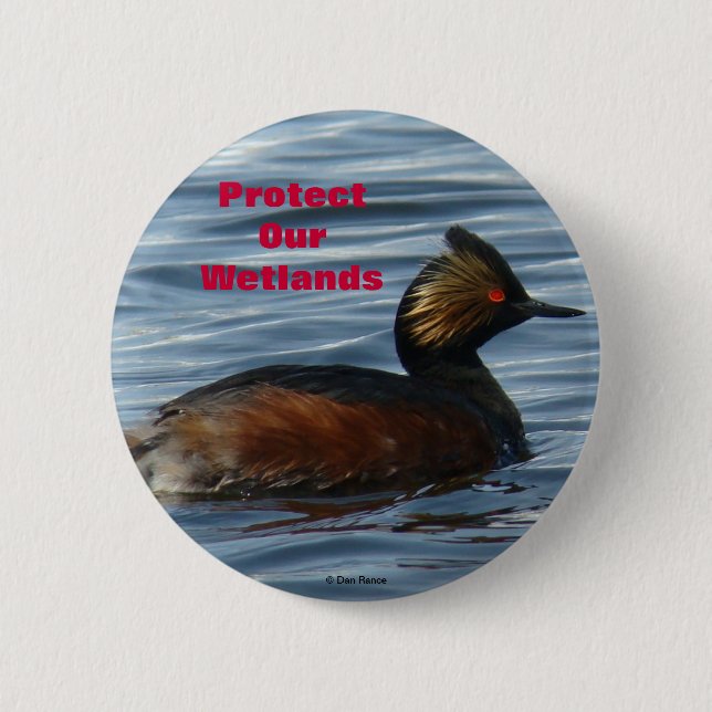 B1 Eared Grebe Button (Front)