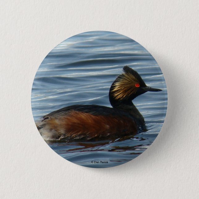 B1 Eared Grebe Button (Front)