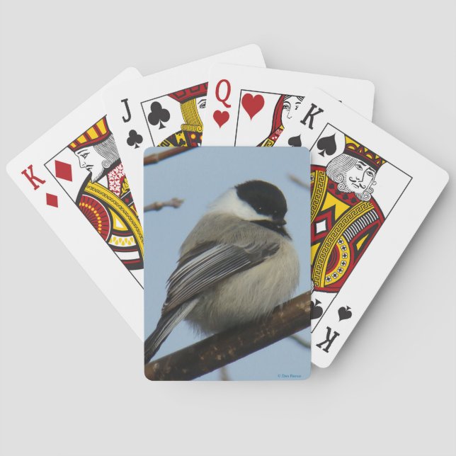 B21 Black-capped Chickadee Poker Cards (Back)