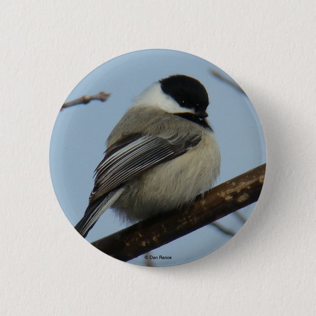 B21 Chickadee Button (Front)