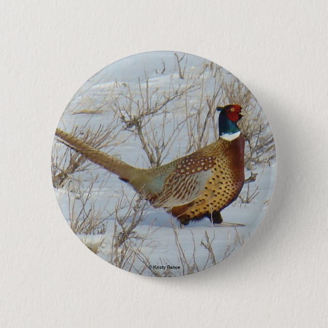 B22 Ring-necked Pheasant Button (Front)