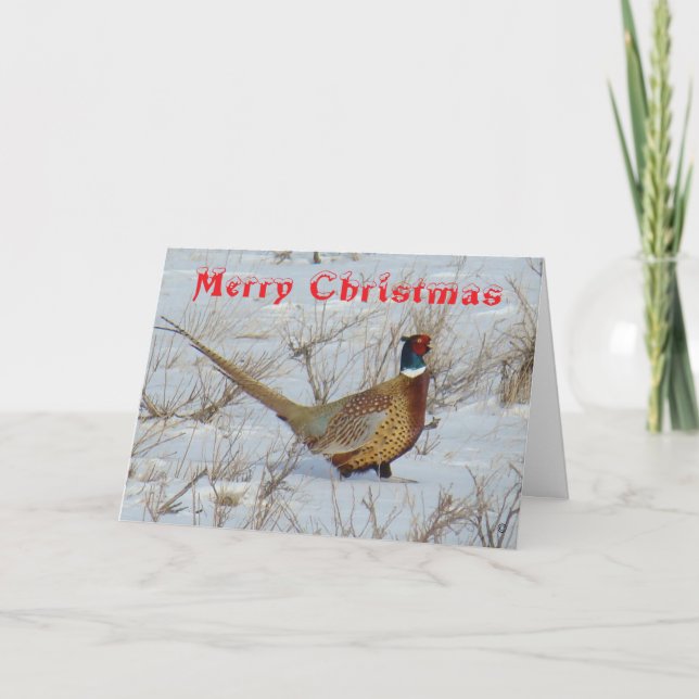 B22 Ring-Necked Pheasant in Snow Christmas Card (Front)
