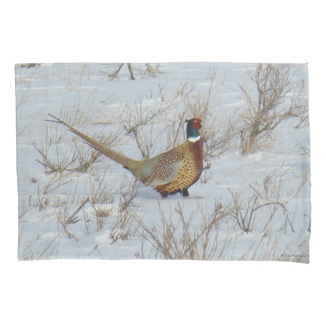 B22 Ring-necked Pheasant in Snow Pillow Case (Front)