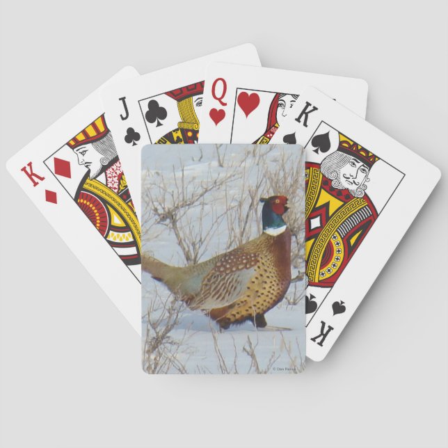 B22 Ring-necked Pheasant in Snow Poker Cards (Back)