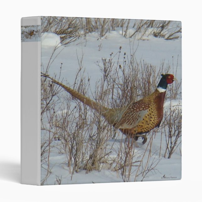 B23 Ring-necked Pheasant Binder (Front/Spine)