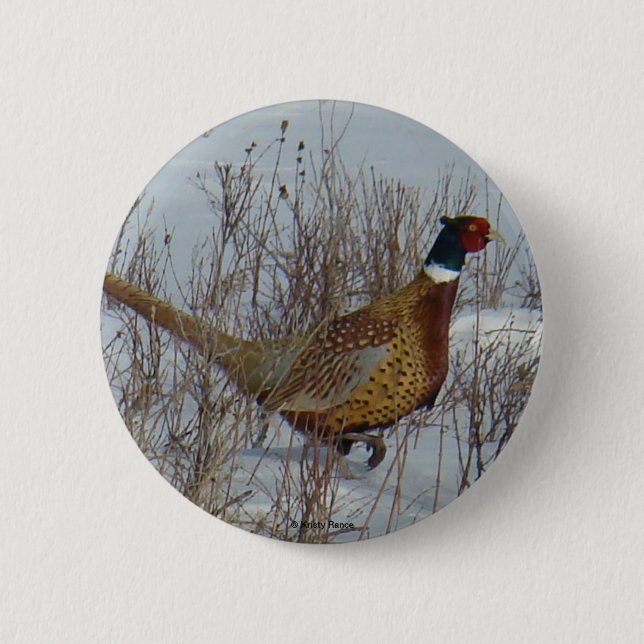 B23 Ring-necked Pheasant . Button (Front)