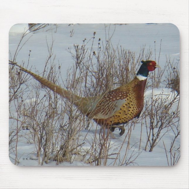 B23 Ring-necked Pheasant in Snow Mouse Pad (Front)