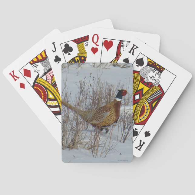 B23 Ring-necked Pheasant in Snow Poker Cards (Back)