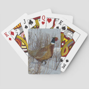 B23 Ring-necked Pheasant in Snow Poker Cards