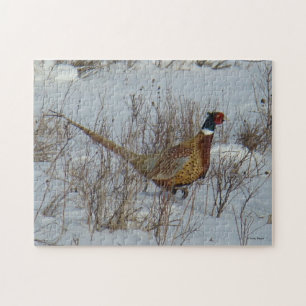 B23 Ring-necked Pheasant Jigsaw Puzzle