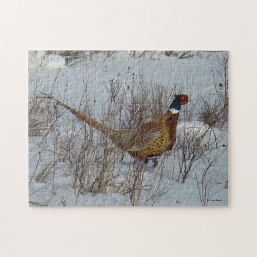 B23 Ring_necked Pheasant Jigsaw Puzzle