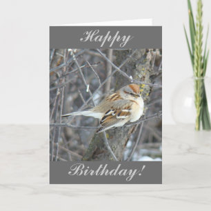 B24 Common Sparrow Card