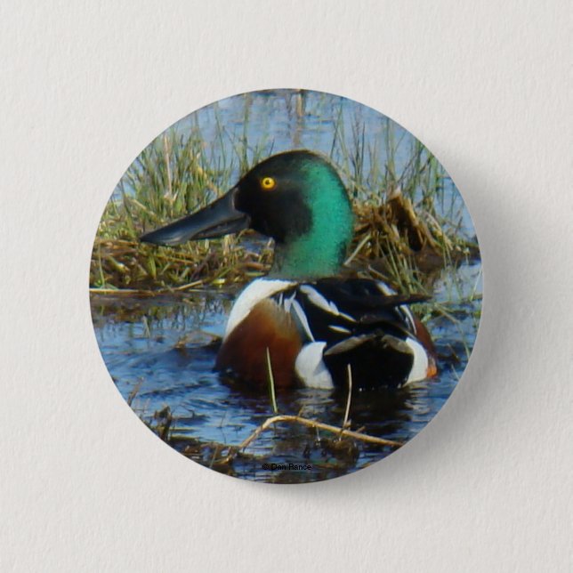 B25 Northern Shoveler Button (Front)