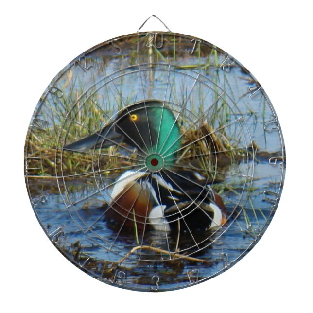 B25 Northern Shoveler Drake Dart Board (Front)