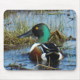 B25 Northern Shoveler Drake Mouse Pad