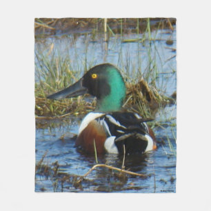 B25 Northern Shoveler Drake Spoonbill Fleece Blanket