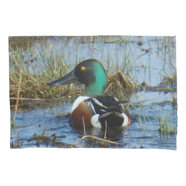 B25 Northern Shoveler Drake Spoonbill Pillow Case (Front)