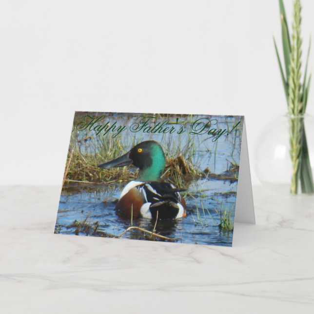 B25 Northern Shoveler Duck Card (Front)